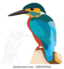 colorful bird Kingfisher vector art. Realistic vector bird sitting on tree trunk. line art of bird Kingfisher. White background.