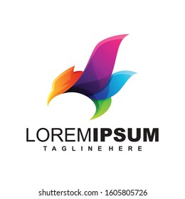 Colorful Bird Logo Design Illustration Vector