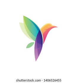 colorful bird logo design ready to use