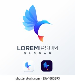colorful bird logo design ready to use