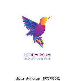 colorful bird logo design template