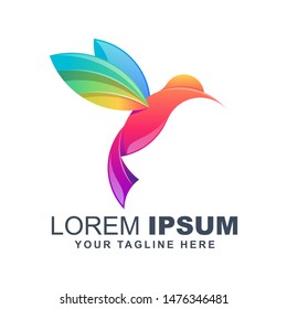 colorful bird logo design vector