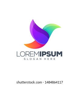 colorful bird logo design vector illustration