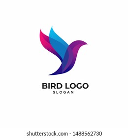 Colorful Bird Logo design vector illustration. Humming bird vector