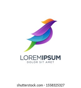 Colorful Bird Logo Design Vector Illustration 