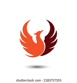 Colorful bird logo design vector illustration