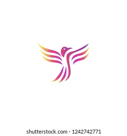 colorful bird logo icon template