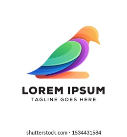 colorful bird logo illustration, beauty bird logo