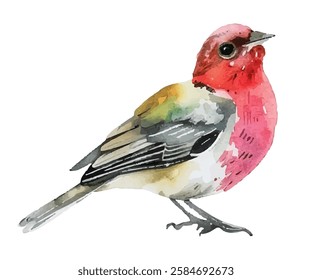 colorful bird on branch. background isolated vector illustration.Perfect for nature-themed designs, greeting cards, or home decor. Captures the detailed beauty and charm of this iconic bird.