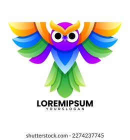 colorful bird owl logo design 