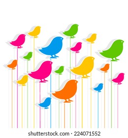 colorful bird pattern background design vector
