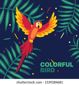Colorful bird poster - illustration bird - vector 