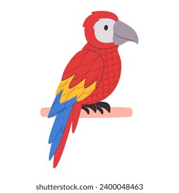 colorful bird scarlet macaw species parrot red colorful pretty cute nature animal wildlife creature