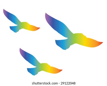 Colorful bird silhouettes