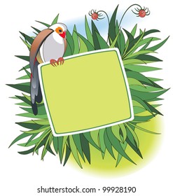Colorful bird sitting on a banner on the background of green grass
