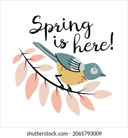 Colorful bird sitting on a branch with text Spring is here! - isolated vector illustration