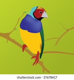 colorful bird sitting on a branch. Image was created in Illustrator using gradient mesh.