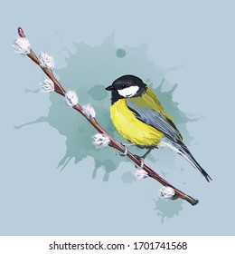 Colorful bird sitting on willow branch. Titmouse. Vector illustration. Artistic style