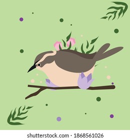 Colorful bird vector drawing  cartoon animals flower leaf branch
