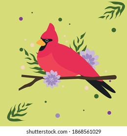 Colorful bird vector drawing  cartoon animals flower leaf branch