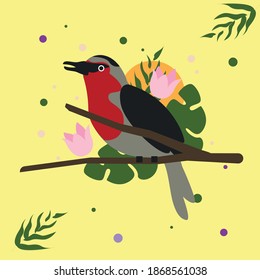 Colorful bird vector drawing  cartoon animals flower leaf branch