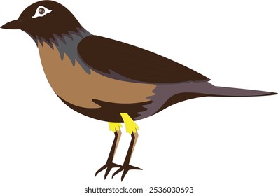 colorful bird vector silhouette design in illustrator