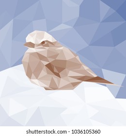 Colorful bird visual identity in low polygon style on colorful background. Vector illustration.