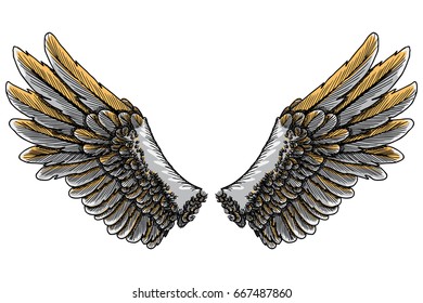 Colorful bird wings of different shape in open position isolated. Colourful illustrations with angel wings. Freehand drawing. Hand drawing tattoo vintage body art concept vector.