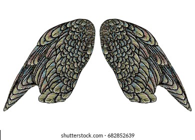 Colorful bird wings of different shape in open position isolated. Colourful illustrations with angel wings. Freehand drawing. Hand drawing tattoo vintage body art concept vector.