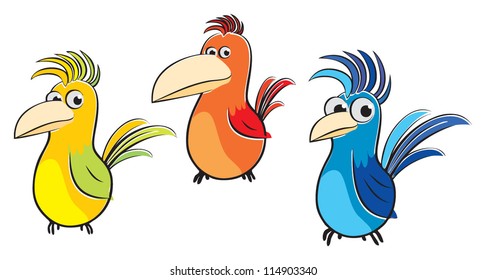 colorful birds