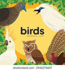 Colorful Birds Book Cover idea for kids and education