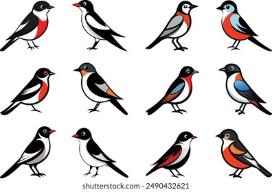 Pájaros coloridos Paquete-12 Ilustraciones vectoriales. Icono de pájaro, Vector, animal.