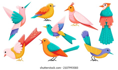 Colorful birds. Decorative bird, cute nature objects. Isolated flying decoration, hummingbird and abstract tit and sparrow. Vintage bright swanky vector set