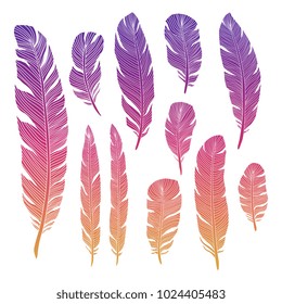 Colorful birds feathers of set isolated on white backgrond. Vector illustration