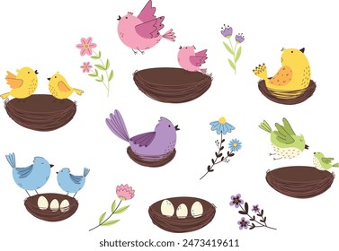 Pájaros coloridos con flores y hojas engastadas. Verano, ilustración de primavera con lindos pájaros en nidos.