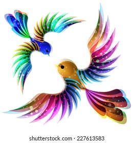 Colorful birds isolated on a white background