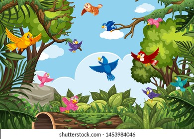 Colorful birds in jungle scene illustration