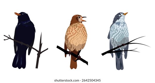 Colorful birds on branches. Vector illustration	