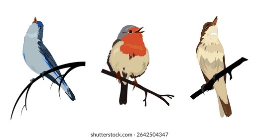 Colorful birds on branches. Vector illustration	