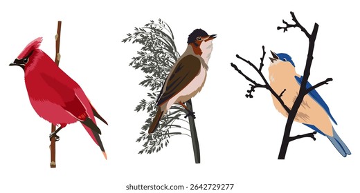 Colorful birds on branches. Vector illustration	