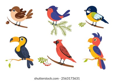 Colorful birds perched on branches displaying their unique features in a vibrant setting