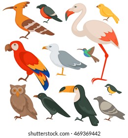 Colorful birds set: parrot, flamingo and bullfinch, robin and toucan. Flat design. Animal wildlife vector illustration isolated on white