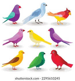 Colorful birds set vector illustration isolated on white