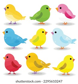 Colorful birds set vector illustration isolated on white