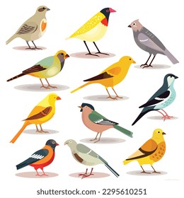 Colorful birds set vector illustration isolated on white