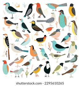 Colorful birds set vector illustration isolated on white