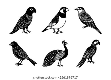 Colorful Birds Silhouette vector Collection