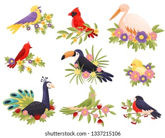 Colorful birds sitting on branches. Animals and spring.