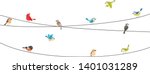 Colorful birds sitting on wire isolated on white