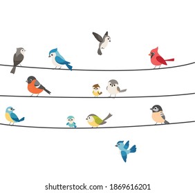 Colorful birds sitting on wire isolated on white